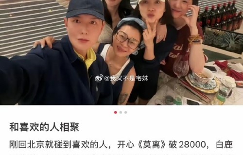 这次宋佳、张碧晨、白鹿等人的跨界聚会，对未来合作有什么可能？