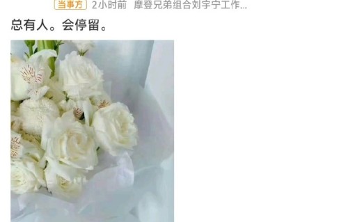 刘宇宁第八年发白玫瑰纪念逝世粉丝