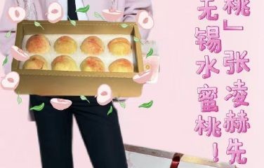 这次事件后，张凌赫的家乡无锡在网络上的讨论度提升了多少？|开始推理吧|水蜜桃|日均|话题|阅读量