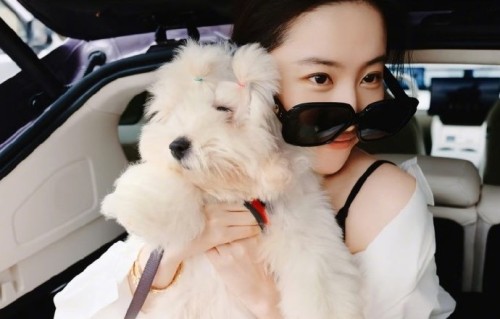 哈哈的厌世脸与刘亦菲温柔气质形成什么反差效果？