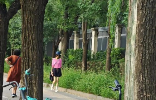 北京街头偶遇56岁的鲁豫，最扎眼的不是瘦，是那股怎么也不慌的轻盈
