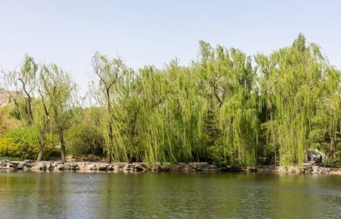 醍醐灌顶的一段话：从不是能走多久，而是能否扛得住因果