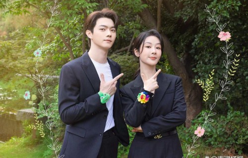 《承欢记》演员演技排名,许凯排第八,杨紫第四,吴彦姝排名第二