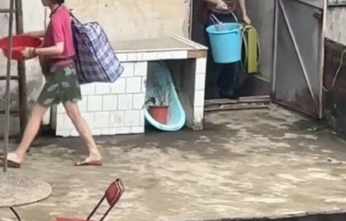 米兰偶遇白鹿！路人镜头下真人清瘦灵动气质出众