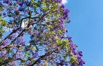 女人最掉价的三种“伪聪明”，你中了几个？