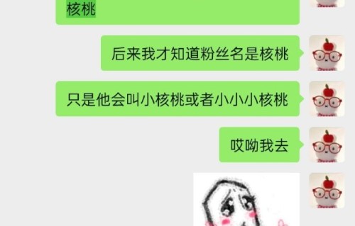 张凌赫的粉丝为什么被称为“小核桃”？|金靖|偶像|老粉|兜底|谐音