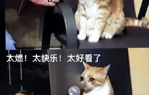 《功夫女足》路演中周星驰为何从紧张变回无厘头状态