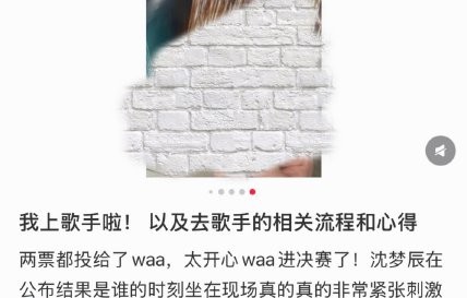 《歌手2026》的现场听审投票机制是否存在局限？