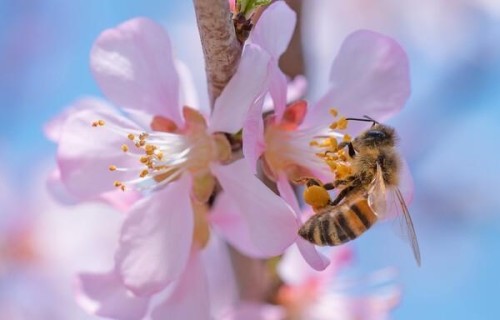 北大40%新生觉得人生没意义，但一个抗癌5年的人给出了不同的答案
