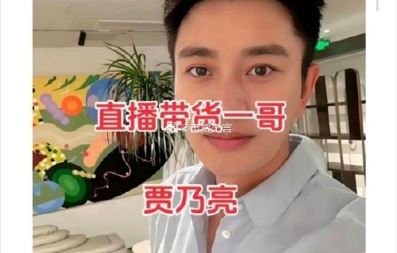网友对贾乃亮直播带货的回应主要分为哪几种观点？|无戏可拍|质疑|韭菜|收入|尴尬