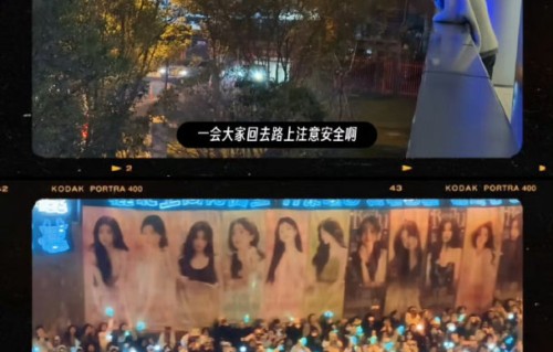 白鹿和粉丝‘鹿茸’之间还有哪些暖心的互动？