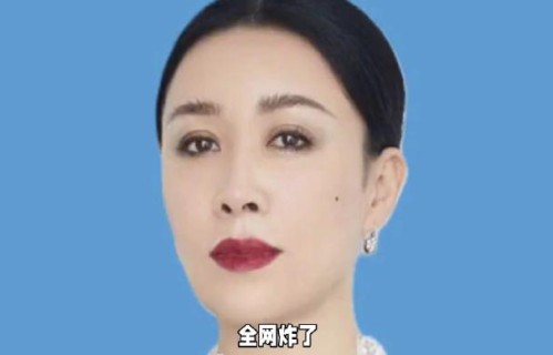 最烦装的人完整视频里那英还说了什么？