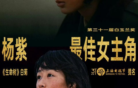 14年全陪跑！85花白玉兰输给90后杨紫