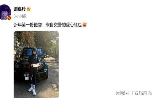 刘嘉玲晒罚单！网友热议|尴尬|违停|女神|明星|插曲