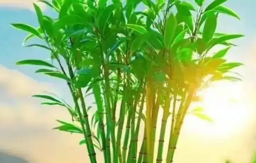 我56岁才顿悟，手机上基本不发朋友圈的人，十有八九是这4种