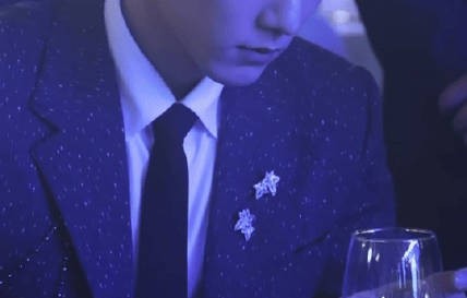 《藏海传》最终获得了哪几项白玉兰奖项？