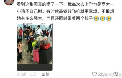 网友如何评价张柏芝这些年独自带娃的经历？