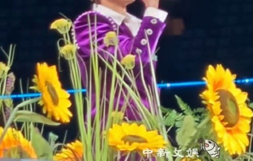 张杰在这次演唱会上演唱《树呢》落泪的具体原因是什么？|祖父|情感|舞台|川剧|鸟巢