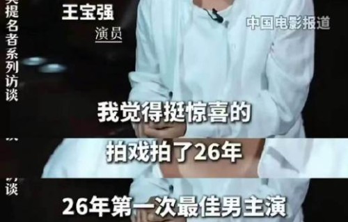王宝强的导演风格是怎样的？