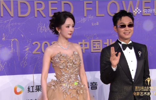 杨幂和大鹏此前合作过哪些影视作品？