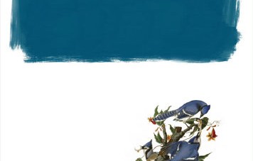 迪丽热巴在《虽然不能同时拥有一切》中饰演的两个角色有何不同？|人生|卫蓝|镜像|主妇|女性