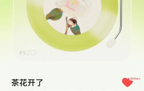王睿卓对白鹿用《茶花开了》入戏怎么看？