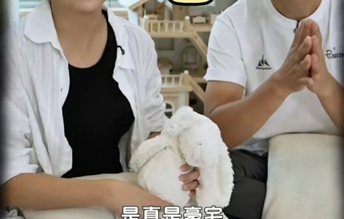 TVB视帝“豪宅”首次曝光，亲做木工水电策划，太太大赞满分好男人