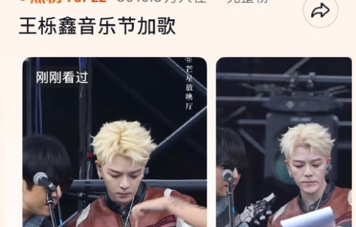 粉丝和路人对于王栎鑫音乐节现场加歌的评价是什么？