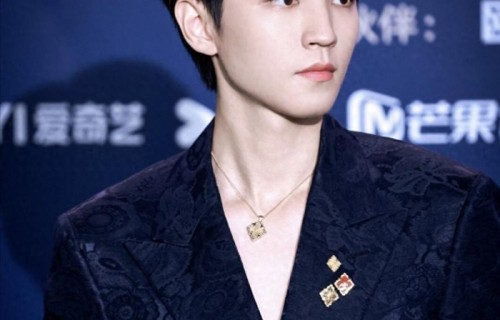 王俊凯深v上热搜，p图师傅：领口缝上了？网友：拿我们当外人