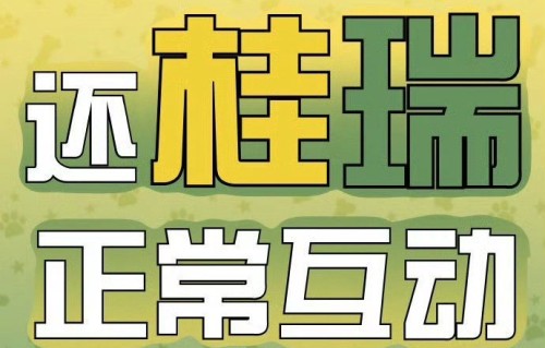 粉丝对张桂源和张函瑞第三次双人舞台有哪些期待？