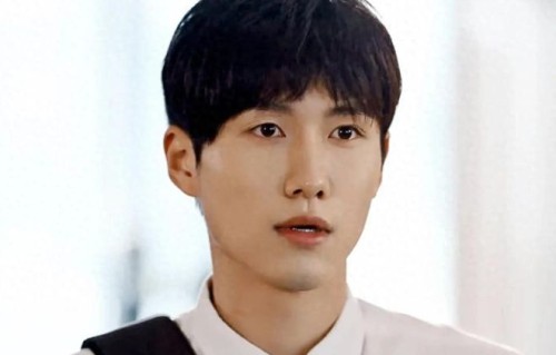 刘邦豪人帅演技好，跟钟汉良长得也很像，《蜜语纪》导演很会选人