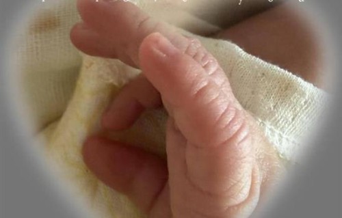 陈牧驰、陈冰宣布结婚生子,发文晒照分享感情历程