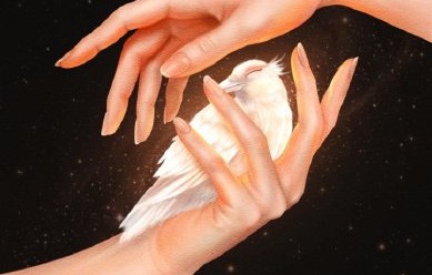 锤娜丽莎发布新专辑《白乌鸦》主要表达什么主题？|认真的嘎嘎们|练习生|音乐|求婚|标签