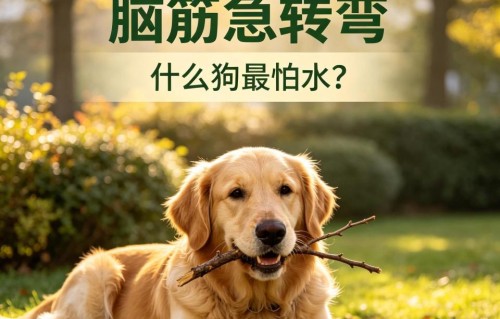 晚上十点，李婷摔了遥控器