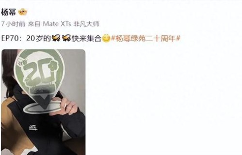 杨幂手作拼豆礼，赴二十年之约庆绿苑成立20周年|诞辰|粉丝|粉丝团|动态|官方