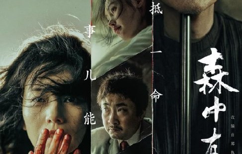 电影《森中有林》讲述了一个怎样的时代背景下的故事？
