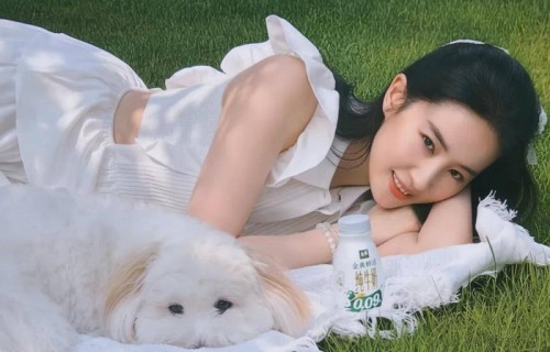 刘亦菲在自家花园晒照，带爱犬一起晒太阳出镜，她素颜穿白裙被网友喊话像AI_金典_黄玫瑰_那张