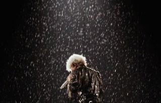 为什么薛之谦在演唱会上承认不懂网络用语反而更受欢迎？|粉丝|巡演|落伍|薛氏|情感