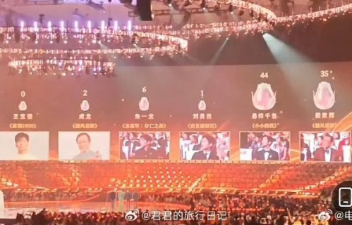 王宝强0票事件发生在哪次奖项评选中？