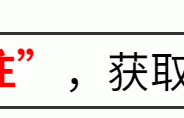 《桃花坞6》：方媛抢单间太自私，于是节目组把她“克星”请来了 