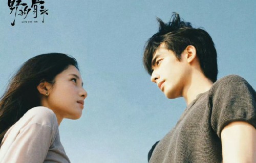 宋威龙张婧仪在《野狗骨头》里有感情戏吗？