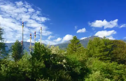 中年女人想念一个异性到了疯狂，不会主动联系，而是用这一个细节