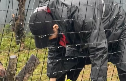 张凌赫签名落镜框，抬眼可见专属印记