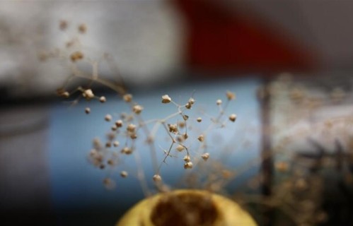 男女之间的感情，千万不要和太多异性发展暧昧关系 ，不信你看看