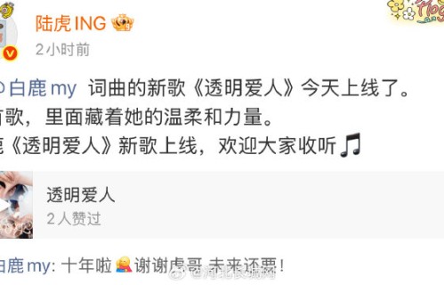 相识十年同守初心！白鹿回复陆虎太好哭了