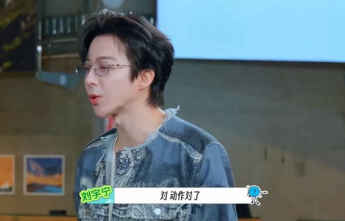 刘宇宁猜词游戏因材施教，精准贴合队友脑洞|适配|综艺|变通|词语|沟通