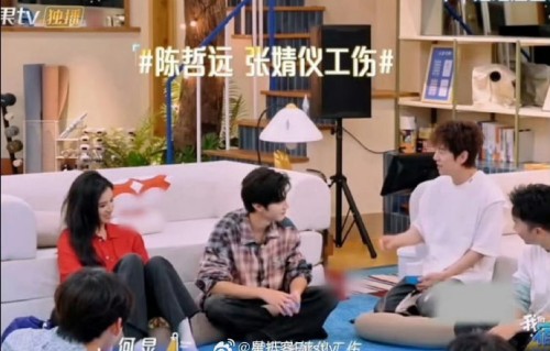 网友是如何评价陈哲远在“张婧仪工伤”词条事件中的综艺感的？