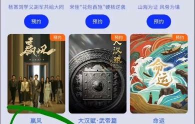 《赢风》确定的播出平台都有哪些？