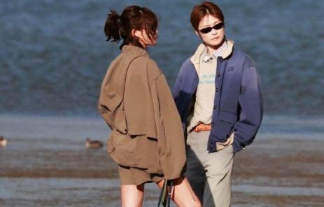 《向野的我们》在哪个平台可以观看？
