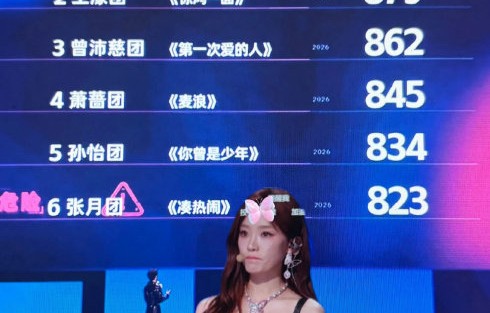 网友质疑《乘风2026》三公票数公正性的原因有哪些？